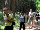 prov2005_7