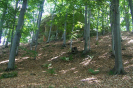 provodov2007_12
