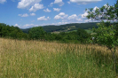 provodov2007_3