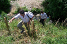 provodov2007_8