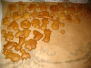 advent2008_14