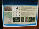 hostynpesi2008_14