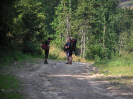 hostynpesi2008_16