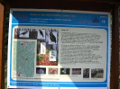 hostynpesi2008_19