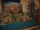 stedryden2009_1