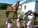 pozlov2009_3