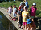 pozlov2009_9