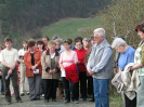 krizova2009_16