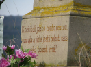 krizova2009_18