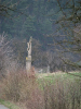 krizova2009_5