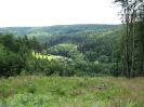 provodov2009_10
