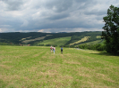 provodov2009_3
