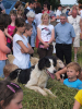 kelniky2010_35