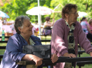 kelniky2010_41