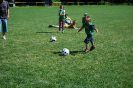 fotbal2010_12