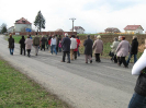 krizova2010_10