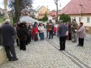 krizova2010_1