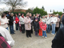 krizova2010_2