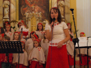 lidecko2010_13