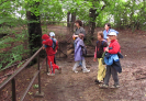 tabor2011_18