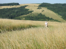 provodov2011_3