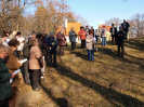 antonicek2012_17