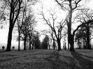 antonicek2012_18