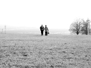 antonicek2012_19
