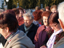 antonicek2012_25