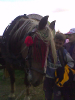 vaclav2012_14