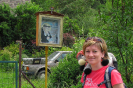 provodov2012_15