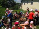 provodov2012_22