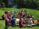 provodov2012_23