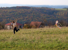 draci2013_14