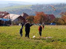 draci2013_5