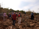 medjugorje2013_5
