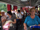 provodov2013_21