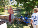 provodov2013_6