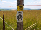 pesivelehrad2013_12