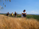 pesivelehrad2013_13