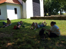 pesivelehrad2013_19