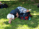 pesivelehrad2013_20