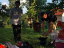 pesivelehrad2013_28