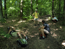 pesivelehrad2013_5