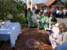 bozitelo2013_16
