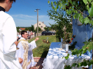 bozitelo2015_22