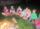 hovezi2016_10