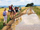 pesivelehrad2016_15