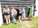 pesivelehrad2016_32