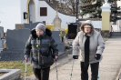 antonicek2018_42